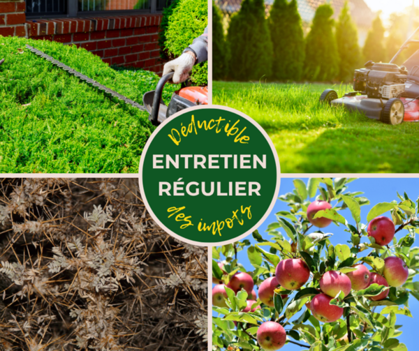 Entretien Régulier  déductible des impôts