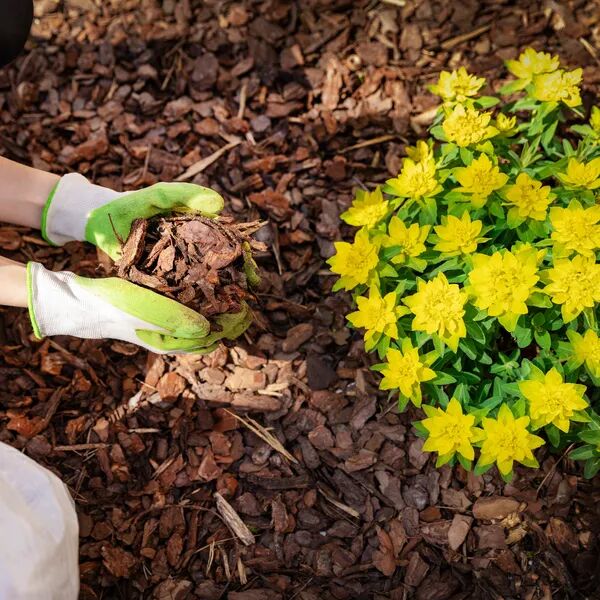 Protéger son jardin de la chaleur 
