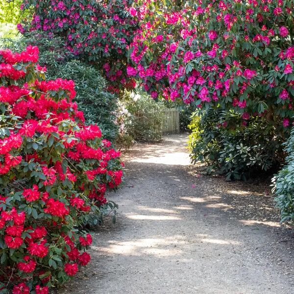Vos bonnes résolutions jardin 2026