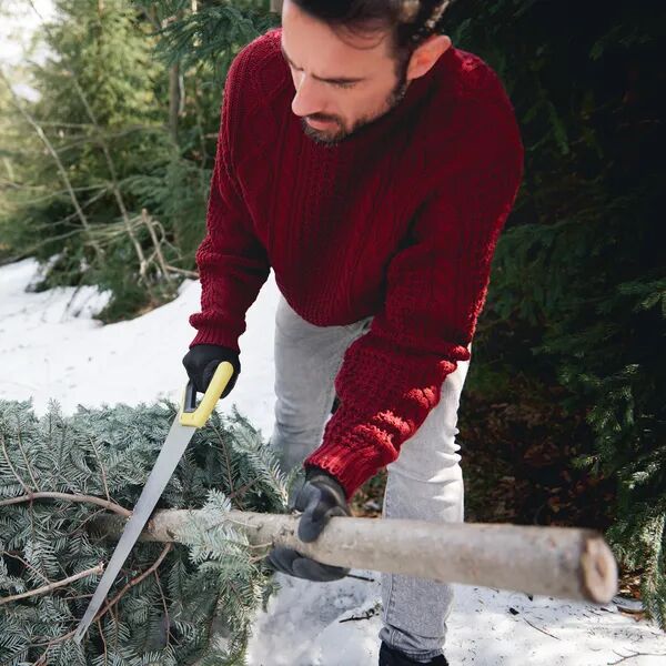 En janvier vos arbres nous attendent
