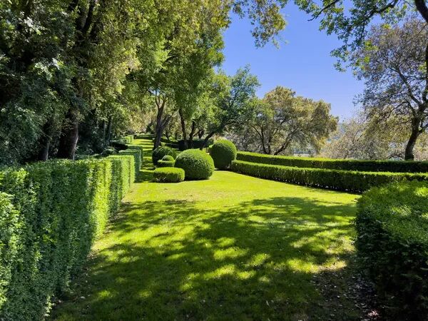 Adieu les thuyas place au renouveau