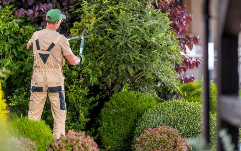 TRANQUIL'I-T  Jardin