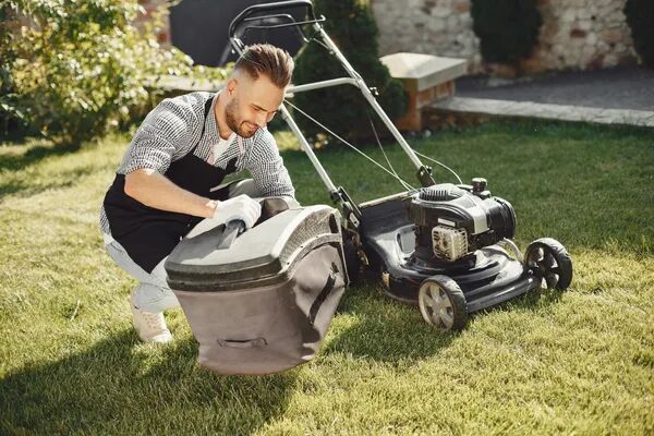 Vos plantes gardées pendant les vacances