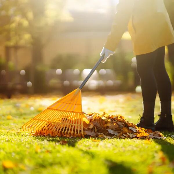 Préparez votre jardin pour l’hiver