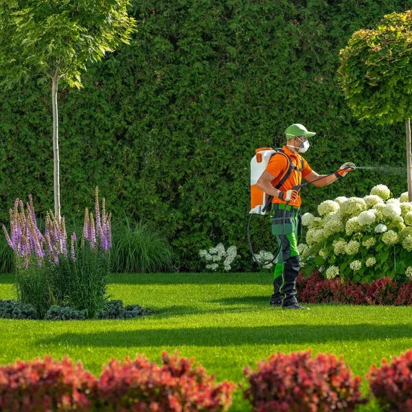 Un beau jardin sans vous fatiguer 